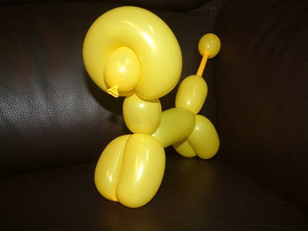 造型氣球