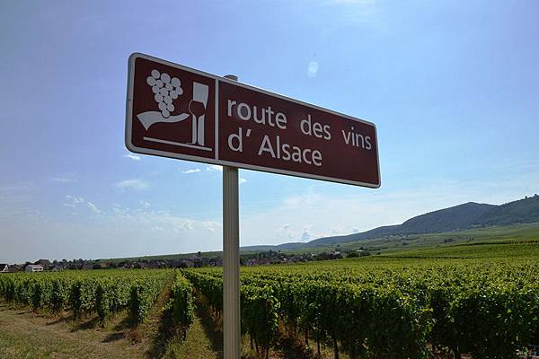 Route des Vins d'Alsace