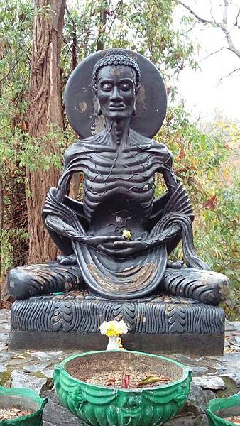 12647401_1014258561980330_2340367341430739354_n 12647401_1014258561980330_2340367341430739354_n