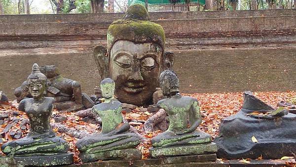 12669585_1014258238647029_5084918802847945906_n 12669585_1014258238647029_5084918802847945906_n