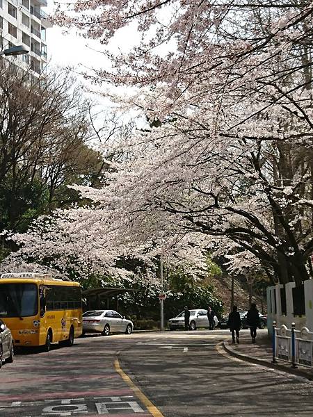 DSC_5996.JPG DSC_5996.JPG