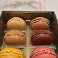 Macaron 