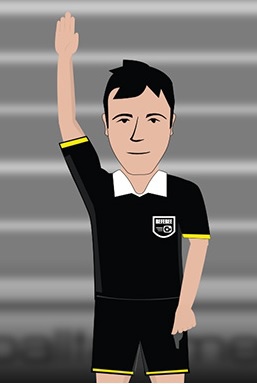 Referee 3