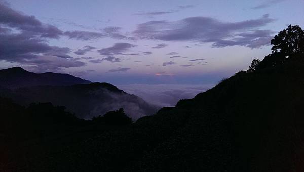 IMAG4466.jpg IMAG4466.jpg