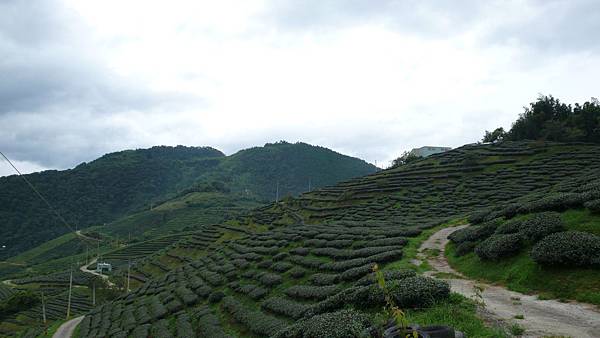 L1370379.JPG L1370379.JPG