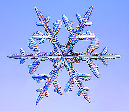 研究雪花結晶 Snowflake 提高氣象預報精準度 冒牌自然老師 痞客邦 研究雪花結晶 Snowflake 提高氣象預報精準度 冒牌自然老師 痞客邦