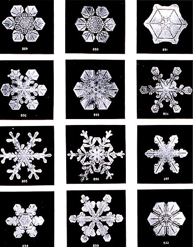 研究雪花結晶 Snowflake 提高氣象預報精準度 冒牌自然老師 痞客邦