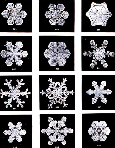 研究雪花結晶 Snowflake 提高氣象預報精準度 冒牌自然老師 痞客邦 研究雪花結晶 Snowflake 提高氣象預報精準度 冒牌自然老師 痞客邦