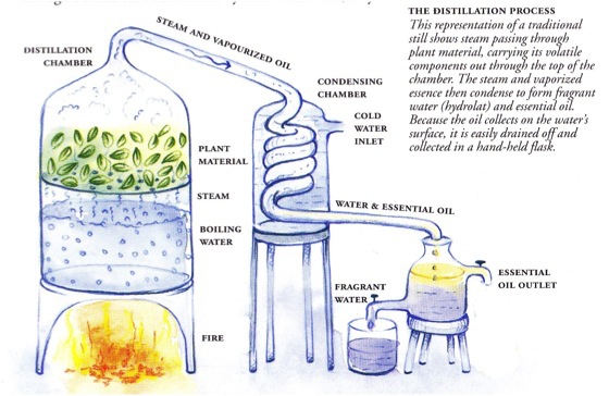 distillation1