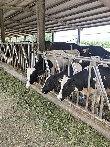 41911298_269083703934581_6762554551628201984_n.jpg 41911298_269083703934581_6762554551628201984_n.jpg