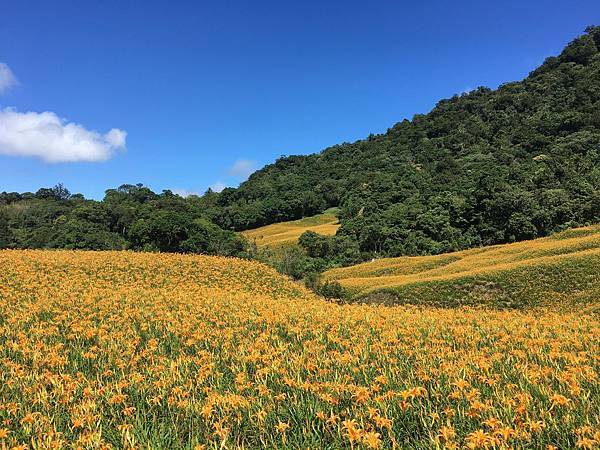 41897108_2190899224515844_5177763532673908736_n.jpg 41897108_2190899224515844_5177763532673908736_n.jpg