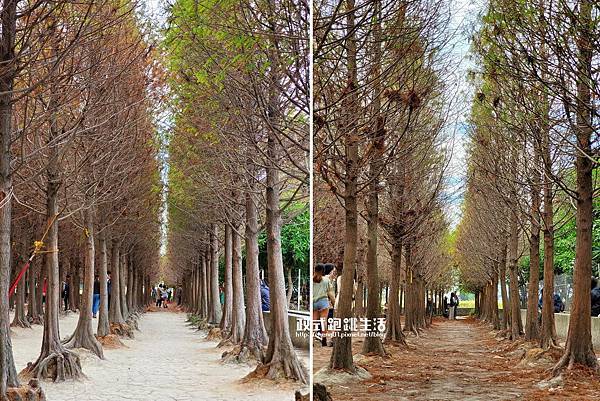 未命名-1 2拷貝 未命名-1 2拷貝