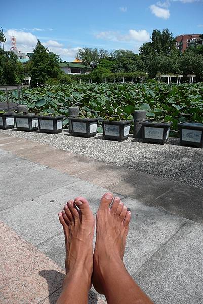 台北植物園 赤腳車小斌