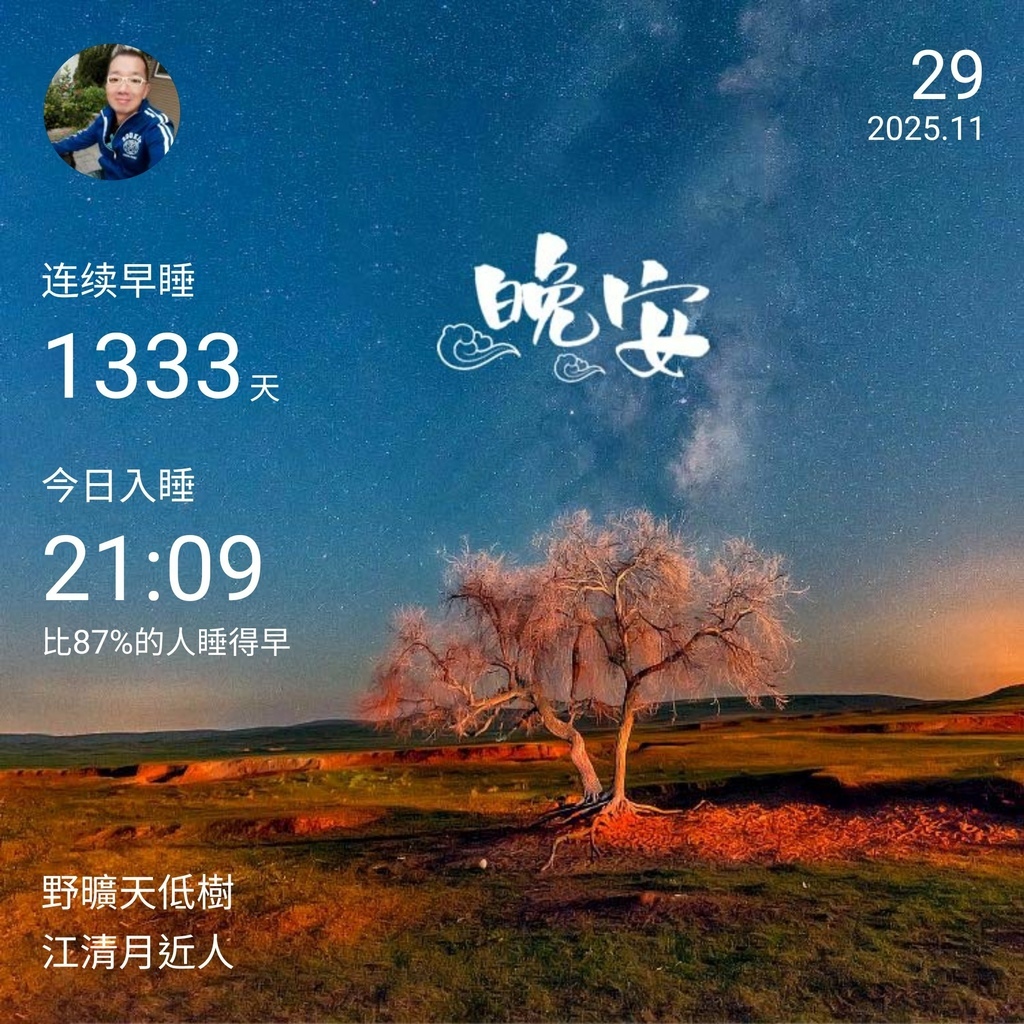 晚安打卡圖，2025.11.29，野曠天低樹，江清月近人