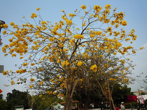 P1070170.JPG