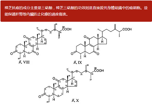 健康認識了三萜類 就不得不認識牛樟芝 晟峰紅寶石 痞客邦