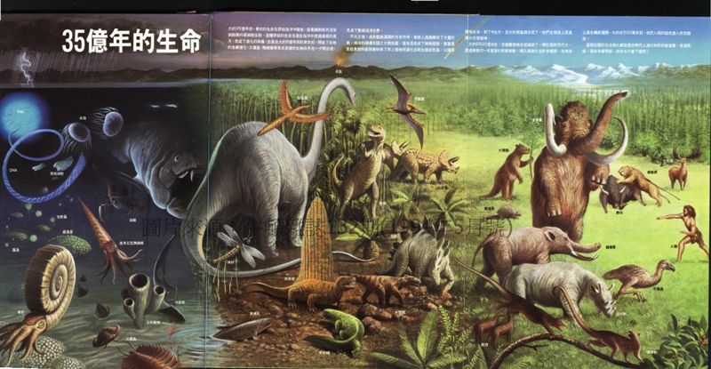 生物演化版權.JPG