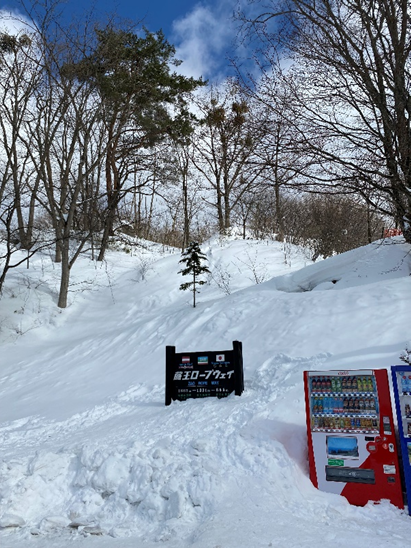 藏王樹冰の冰雪奇緣