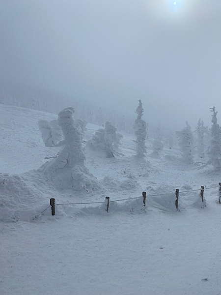 藏王樹冰の冰雪奇緣