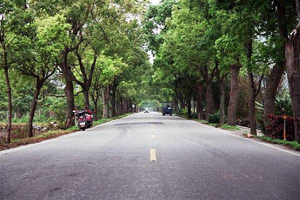 通網鯉魚潭的路上~~~整條路上都想停下來照ㄧ張~~~終於如願以償