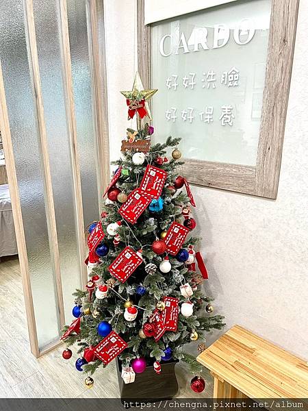 cardo_201216_33.jpg cardo_201216_33.jpg