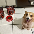 犬霸ss60_210523_30.jpg