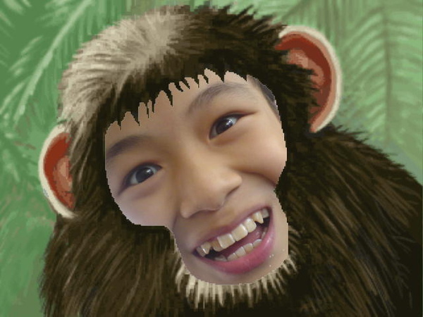 Edwin the monkey .jpg