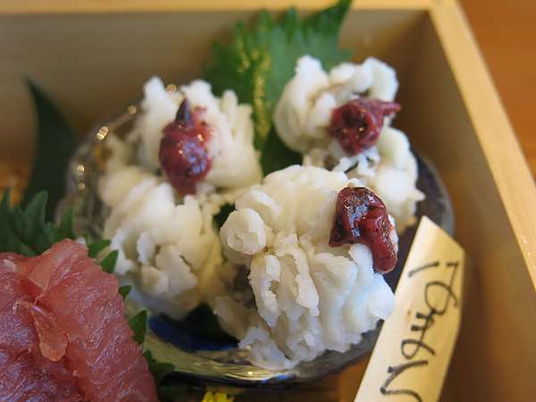 京都吃 鱧料理 鱧沙西米 松茸鱧魚湯 烤鱧 還有游來游去的活鱧 成寒部落格 痞客邦