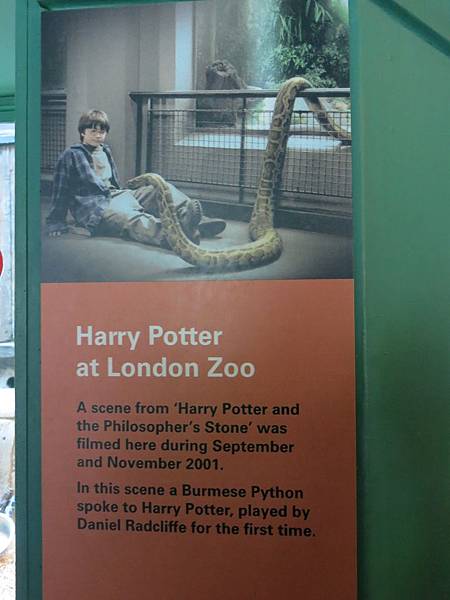 02-London Zoo, Harry Potter-成寒.JPG