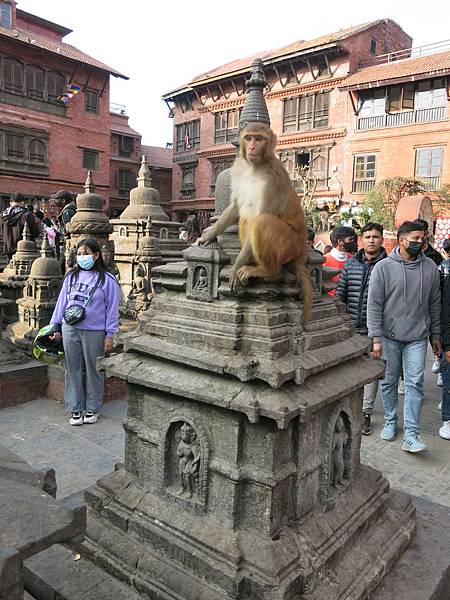 01-monkey temple-Kathmandu, Nepal-成寒.JPG