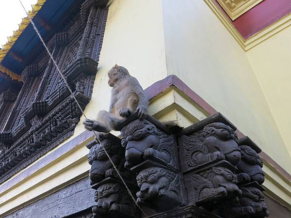 30-monkey temple-Kathmandu, Nepal-成寒.JPG