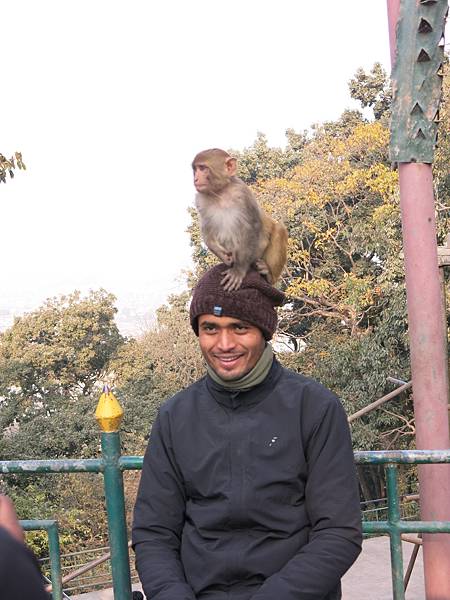 34-monkey temple-Kathmandu, Nepal-成寒.JPG