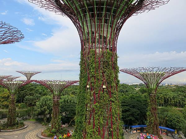 04-Garden by the Bay, Singapore-成寒.JPG