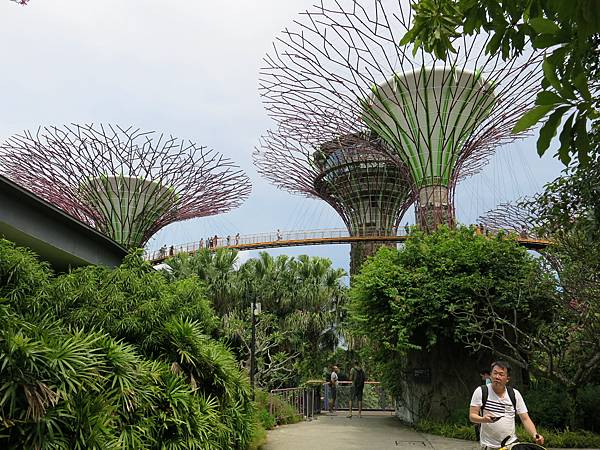 07-Garden by the Bay, Singapore-成寒.JPG