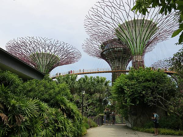 09-IMG_0251-Garden by the Bay, Singapore-成寒.JPG