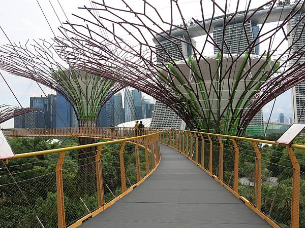 11-Garden by the Bay, Singapore-成寒.JPG