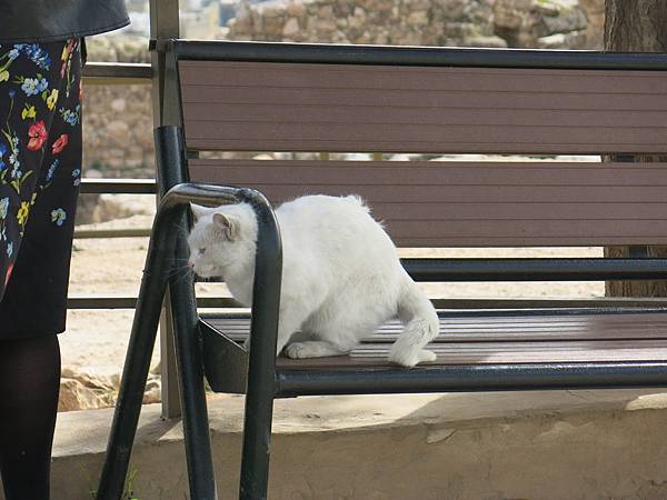 IMG_2620-Amman Citadel.JPG