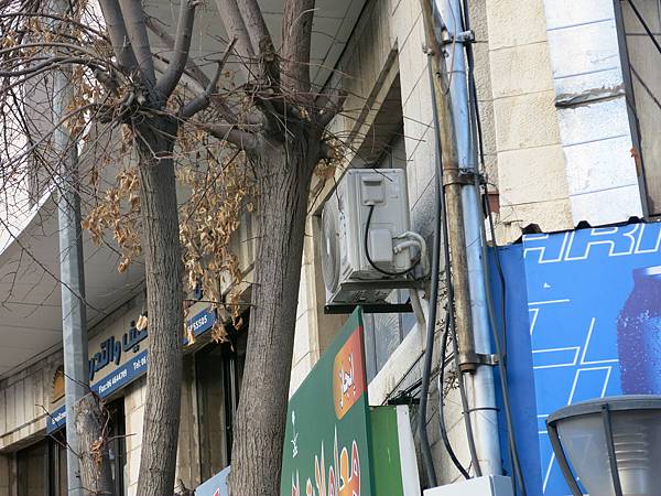 03-Rainbow Street-stray cat-Amman, Jordan-成寒.JPG