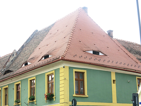 08-Houses with Eyes-Sibiu, Romania-成寒.png