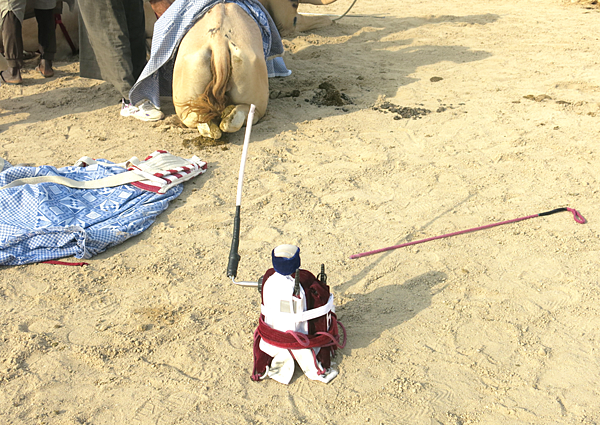07-robot jockey-camel race-Qatar-成寒.png