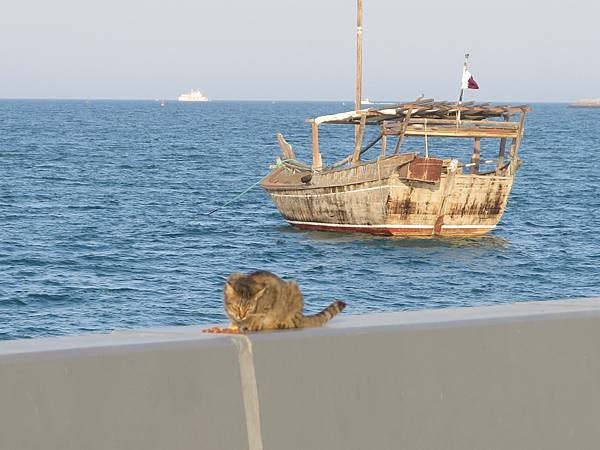 04-濱海步道-Corniche, Doha, Qatar-成寒.JPG