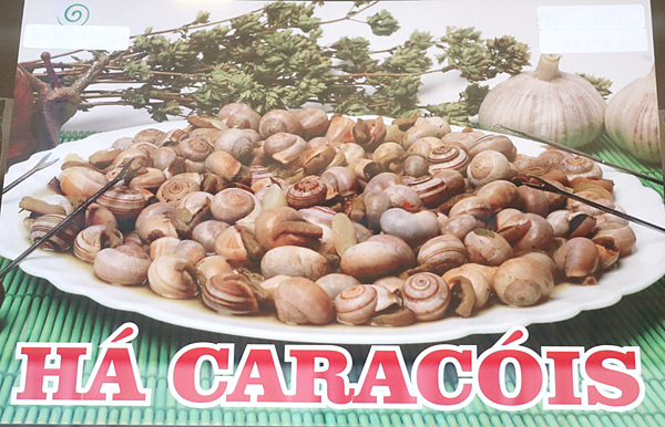 01-小蝸牛-Lisbon, Portugal-葡萄牙.png