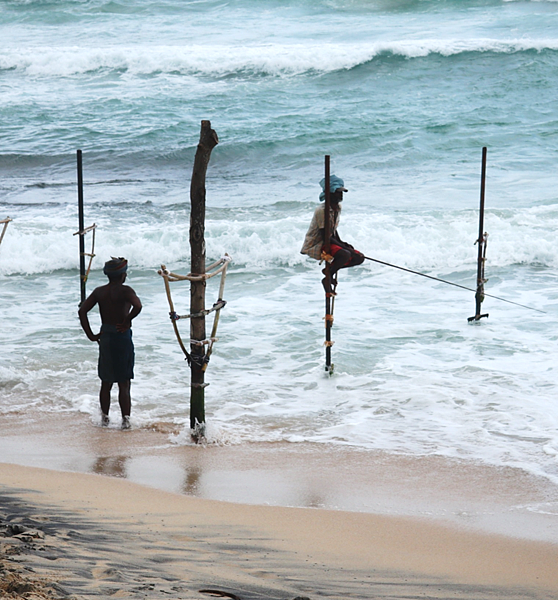 01-Stilt Fishermen, Sri Lanka-斯里蘭卡-成寒.png