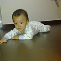 20100421069.jpg