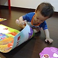 20100520101.jpg