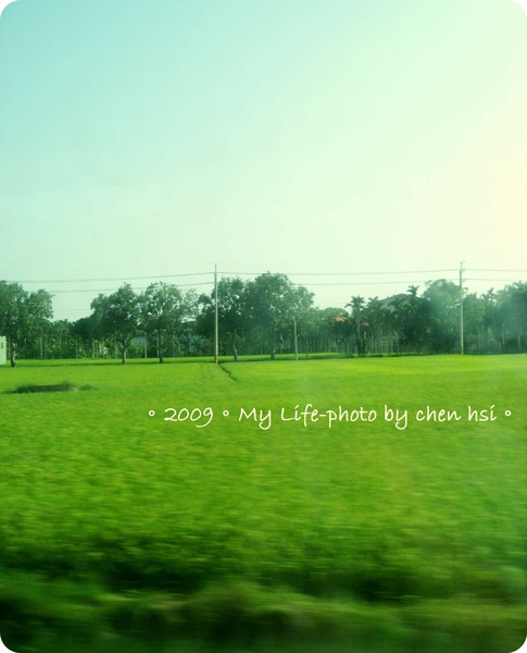 2009-草地.jpg 2009-草地.jpg