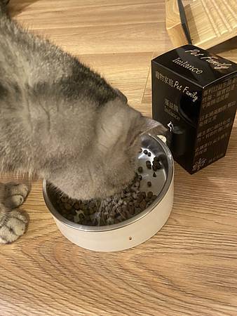 【毛孩家庭必備保健品】 我家挑嘴貓也會吃的寵物益生菌
