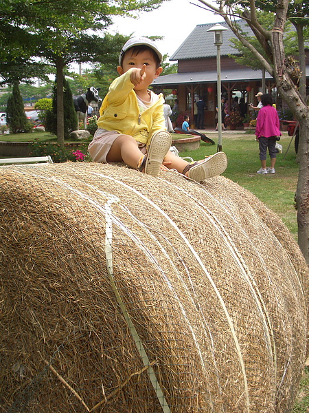 CIMG0989.jpg CIMG0989.jpg