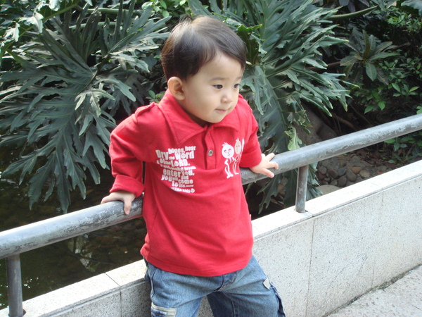 DSC00184.JPG
