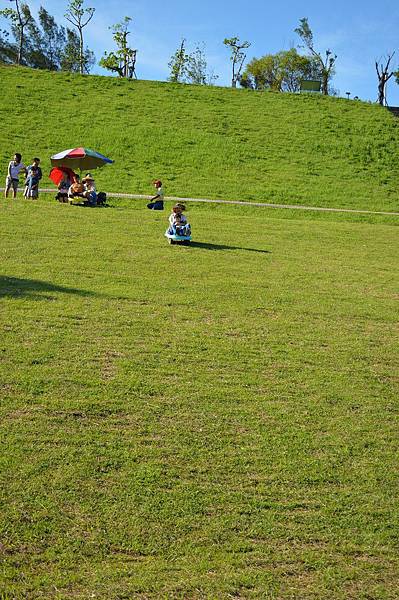 DSC_0736 DSC_0736